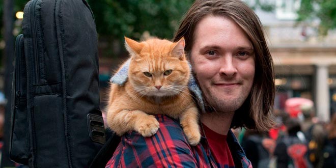 La historia del músico callejero y su gato Bob